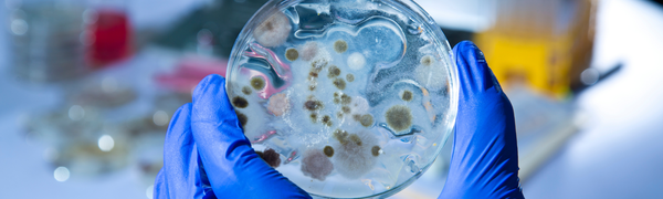 The Big 6 - Series Introduction