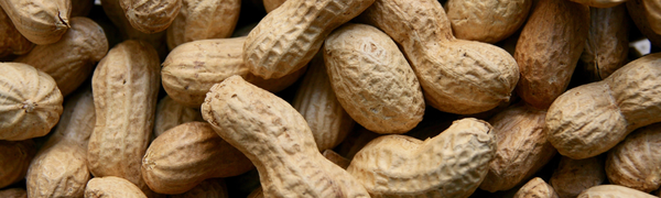 Peanut Allergies