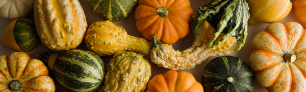 Fall Seasonal Foods: 2025