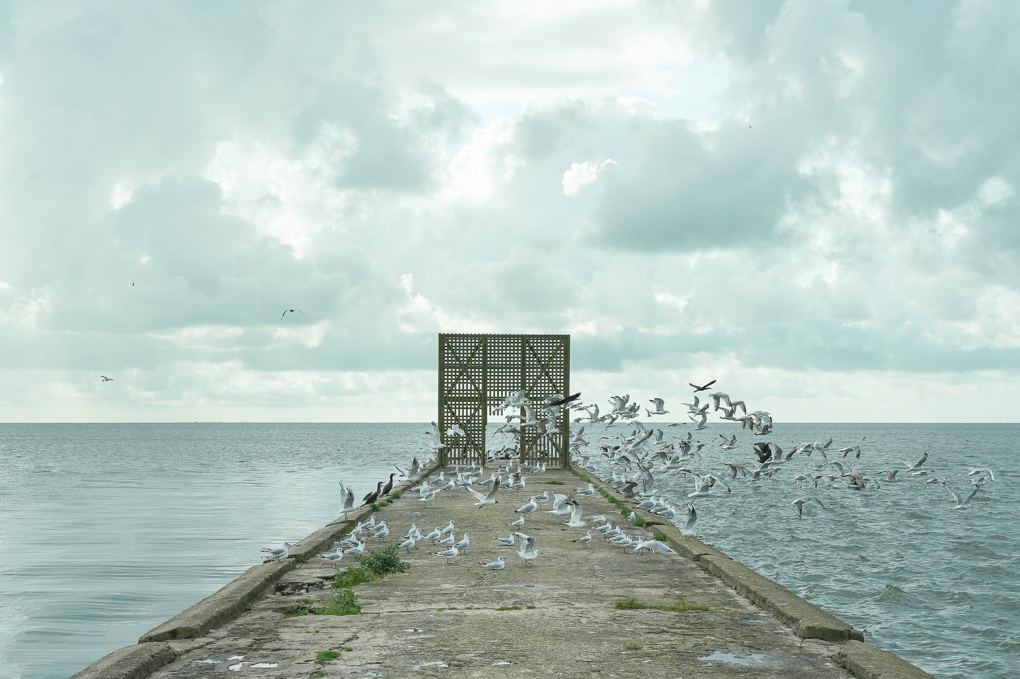 Sabbia, filosofi e bicicletta a due passi da Kalinigrad