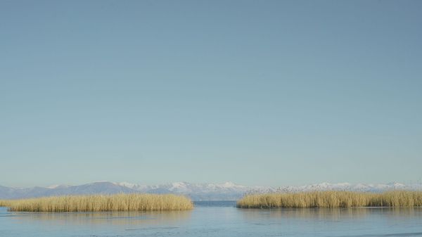 Acque sovrane, epici disastri: il dispotismo idraulico dall'Armenia all'Asia Centrale.