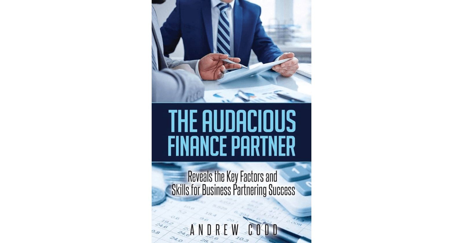 The Audacious Finance Partner