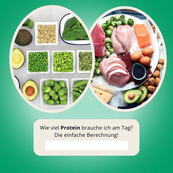 Wie viel Protein brauche ich am Tag? Die einfache Berechnung
