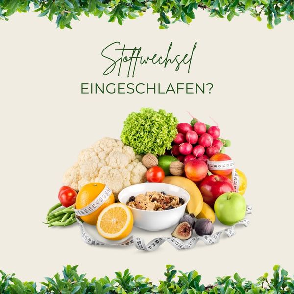 Warum dein Stoffwechsel wahrscheinlich gar nicht „eingeschlafen“ ist