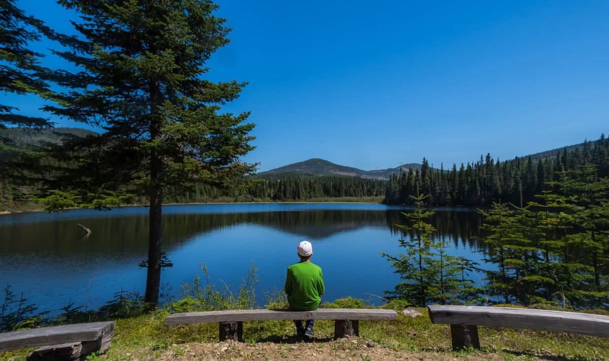 Lac et forêt au Québec