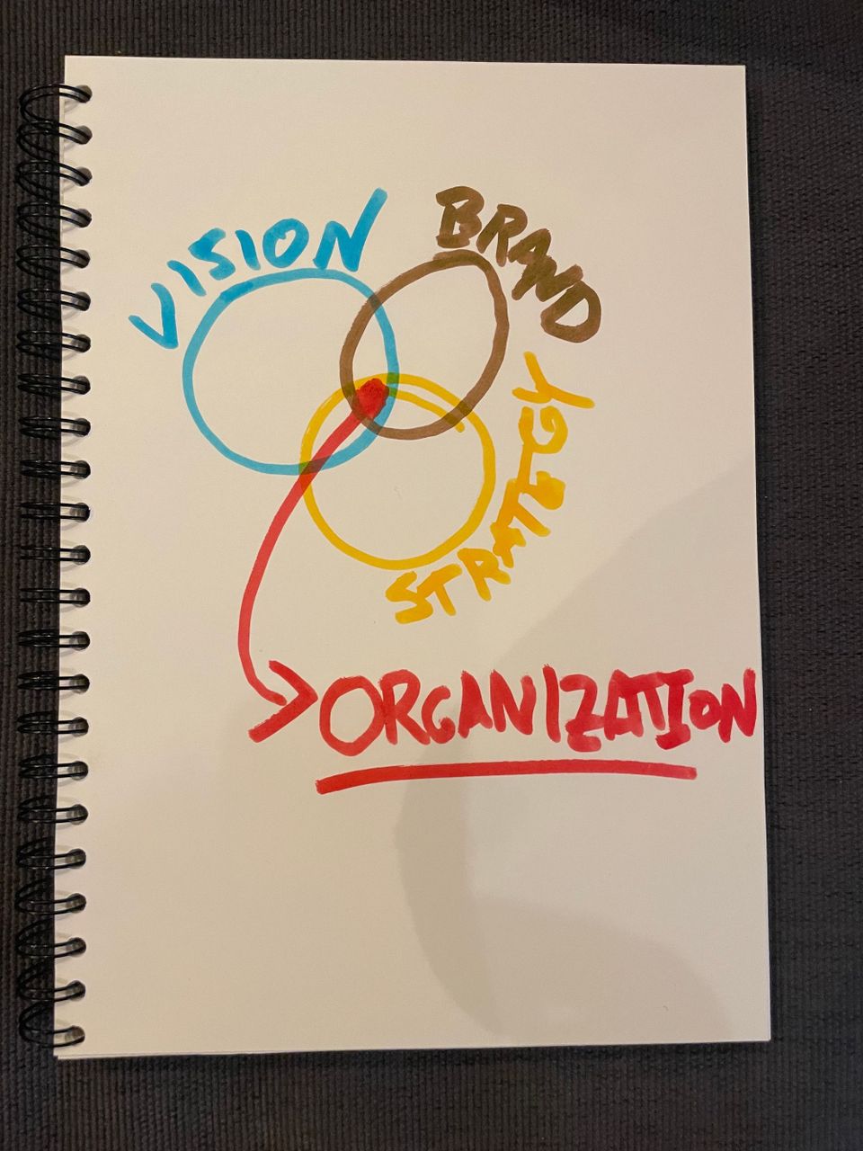 Mini Case: Why the Democrats Are Making Every Mistake in the Book