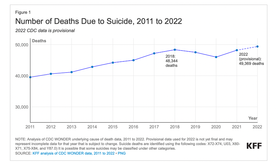 Suicide Rates are Breaking Records. A Sign of Collapse?