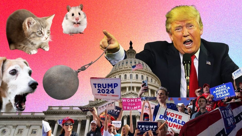 Is the USA Going to Choose Dictatorship? Plus, Why This is a Remarkable Moment in History, and What Trump’s Return Means
