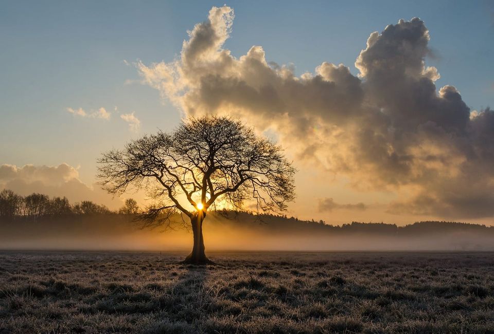 The Question of Happiness in an Age of Extinction, The Purpose of Sorrow, and Transforming Ourselves and Our Civilization