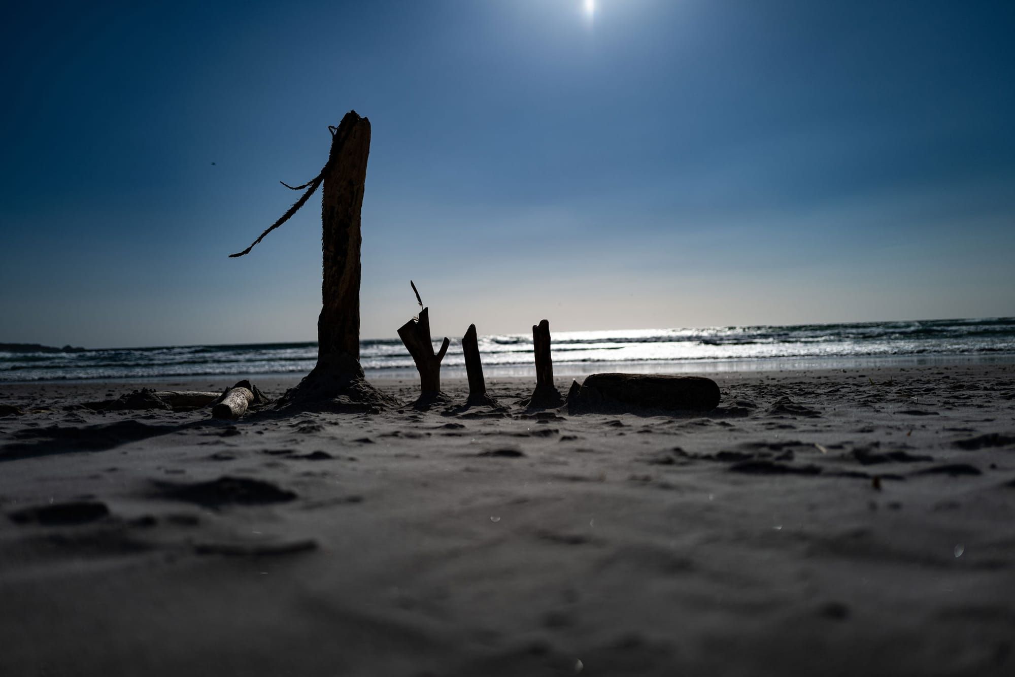 Comprehensive Environmental Risk Assessment and Toxicology Services Offered by The Fehling Group, LLC