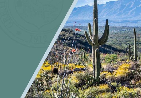 Fehling, K.A. and Green, S.R. 2024. Visualization Tool Utilizing Select Statistical Methods for Evaluation of Background Data. 19th Annual EPAZ Conference, February 26-27.