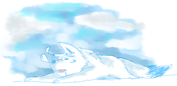 信任的演化