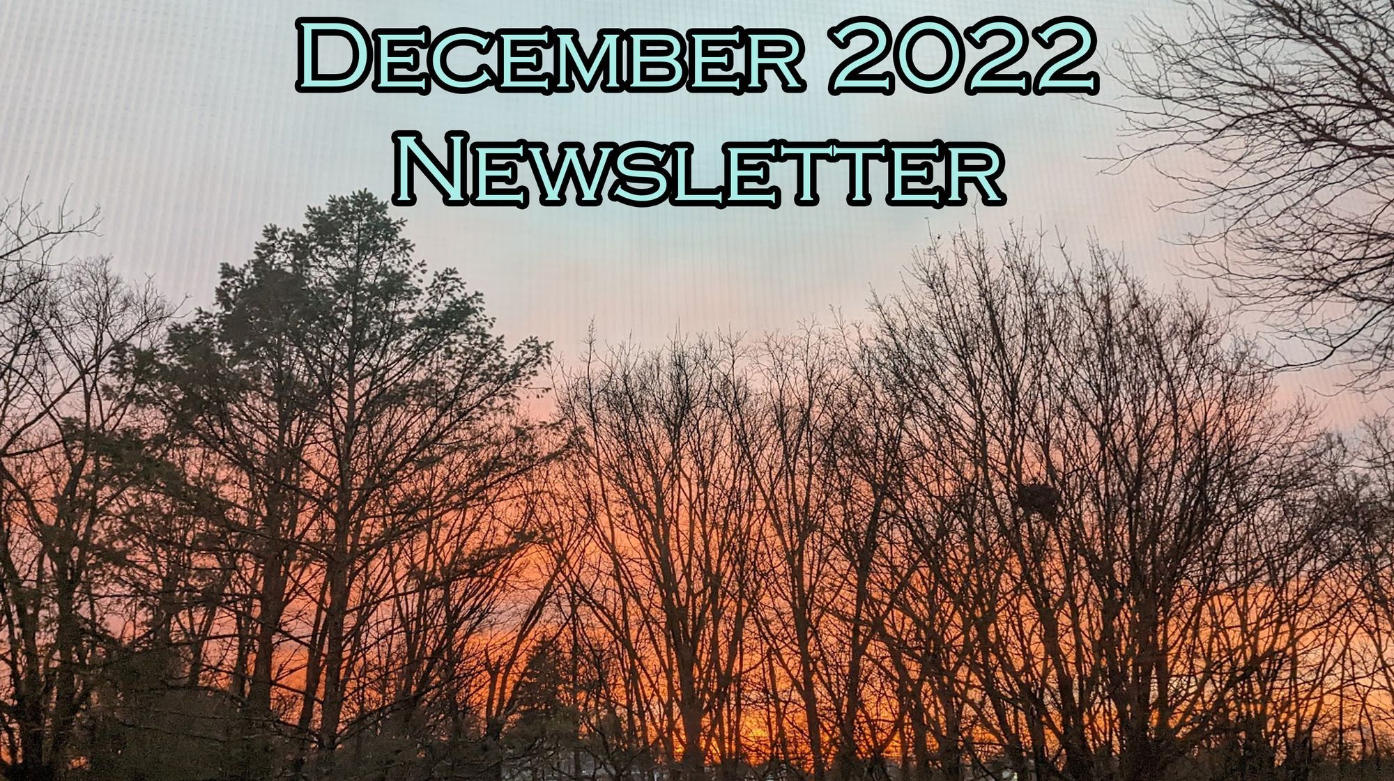 December 2022 Newsletter