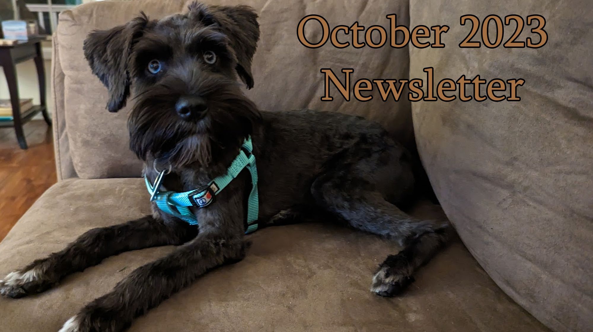 October 2023 Newsletter