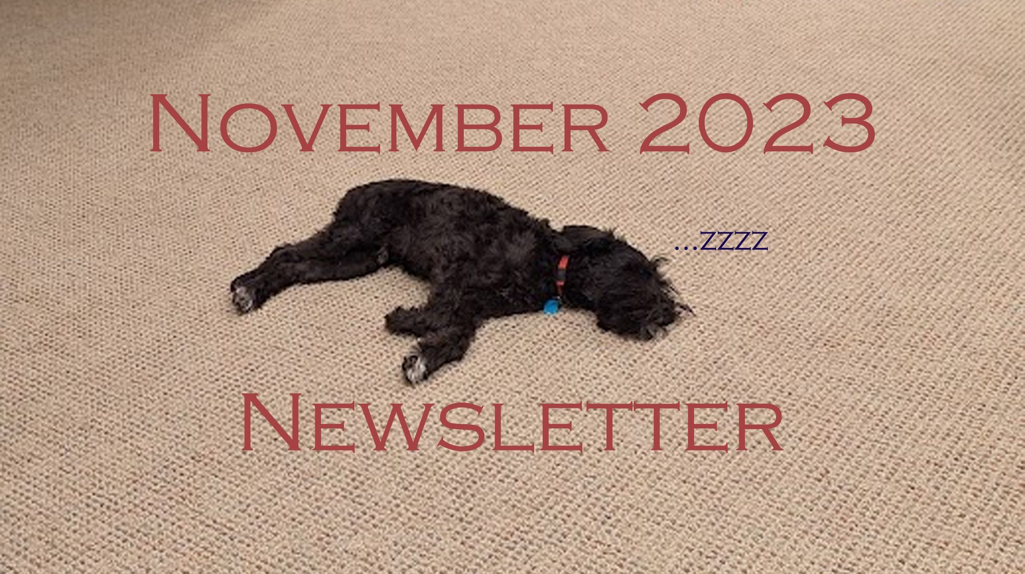 November 2023 Newsletter