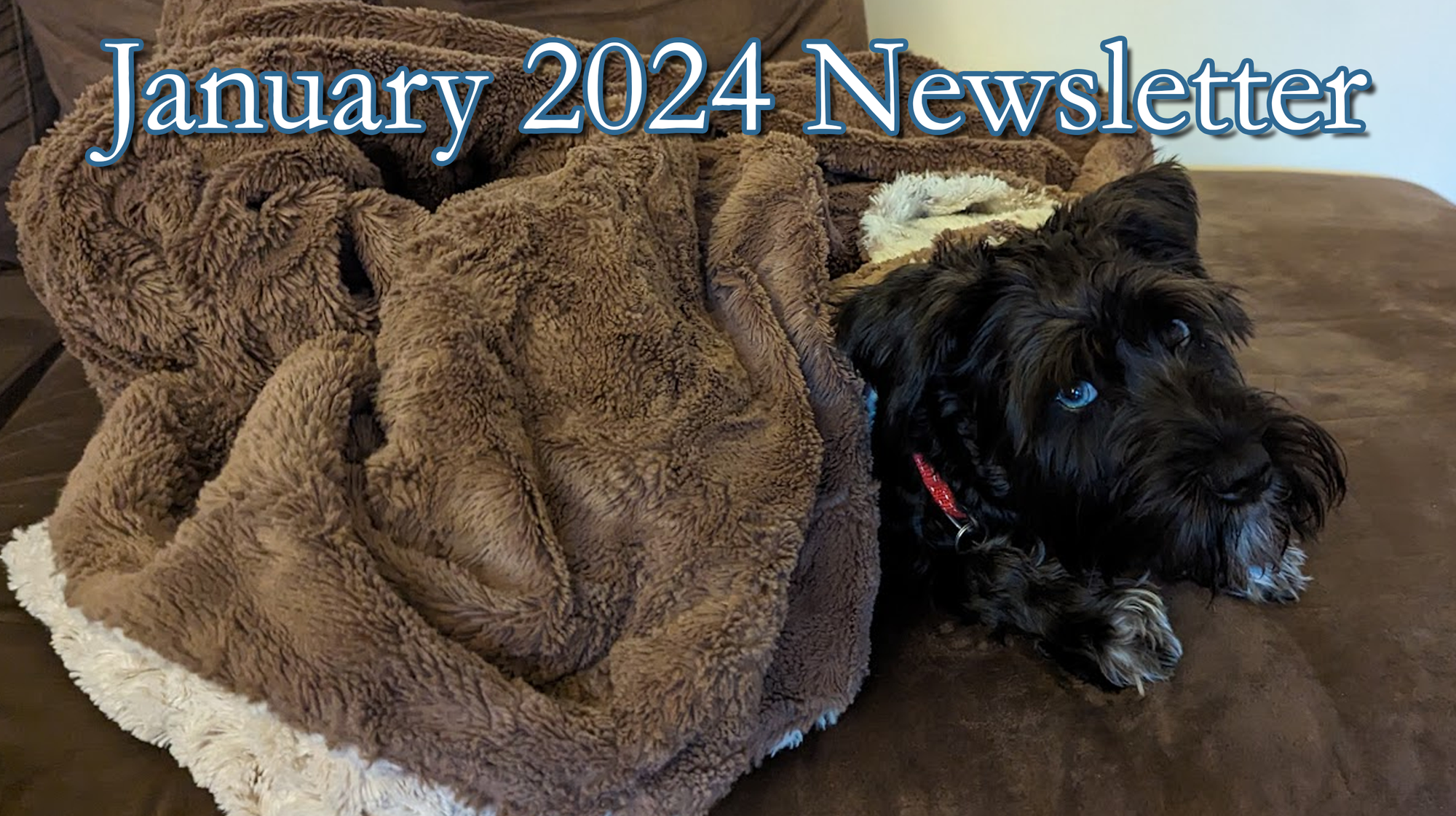 January 2024 Newsletter