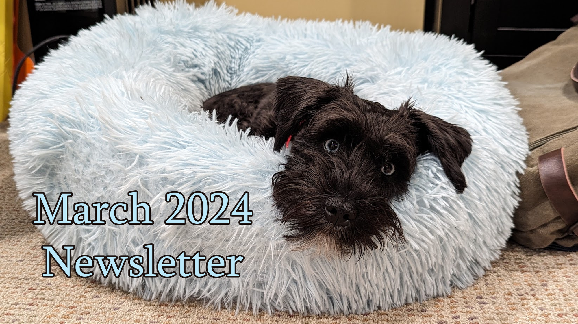 March 2024 Newsletter