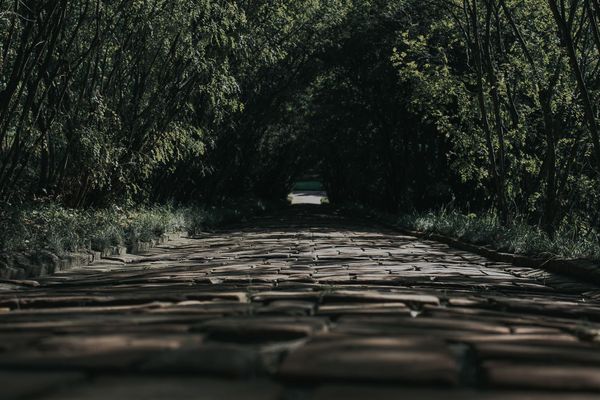 Camp NaNo Retrospective