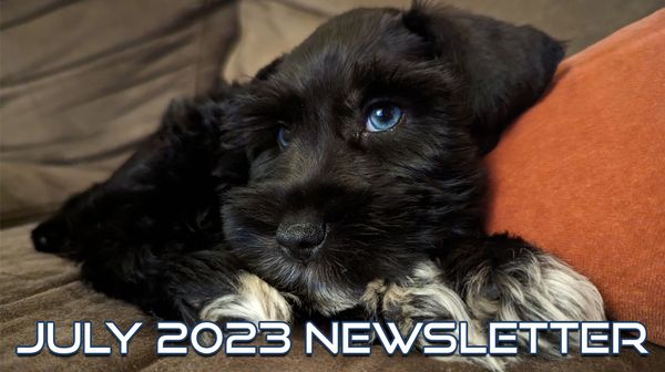 July 2023 Newsletter