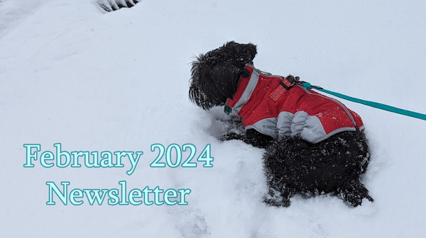 February 2024 Newsletter
