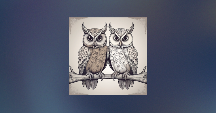 The Problem With... Men/Women