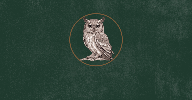 An ivory owl on a deep moss field.