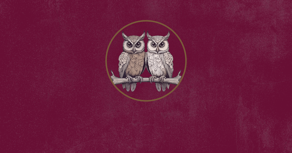 Two ivory owls side by side, on a deep raspberry field.
