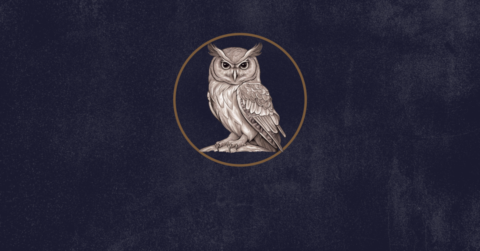Ivory owl on near-black indigo field.