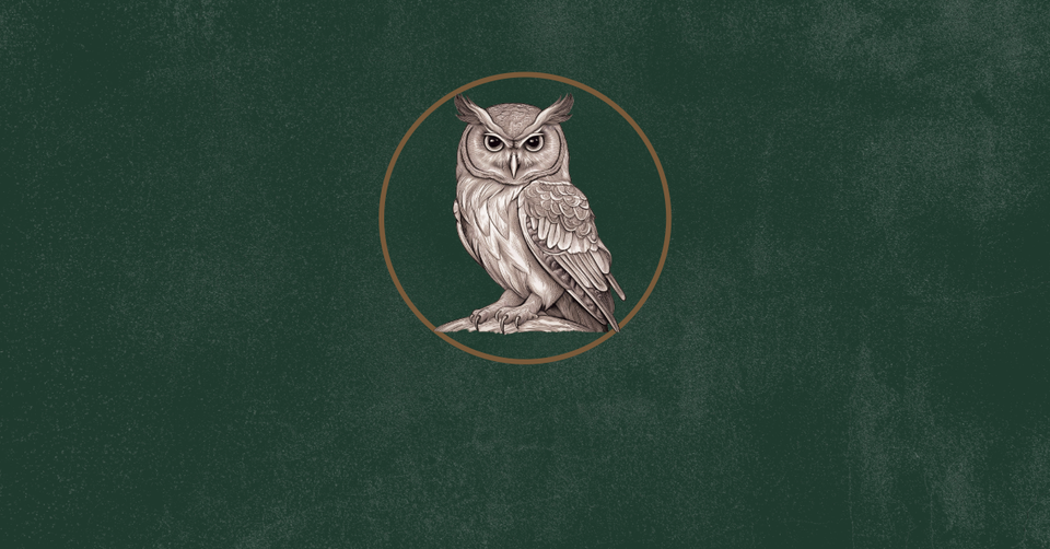 An ivory owl on a deep moss field.