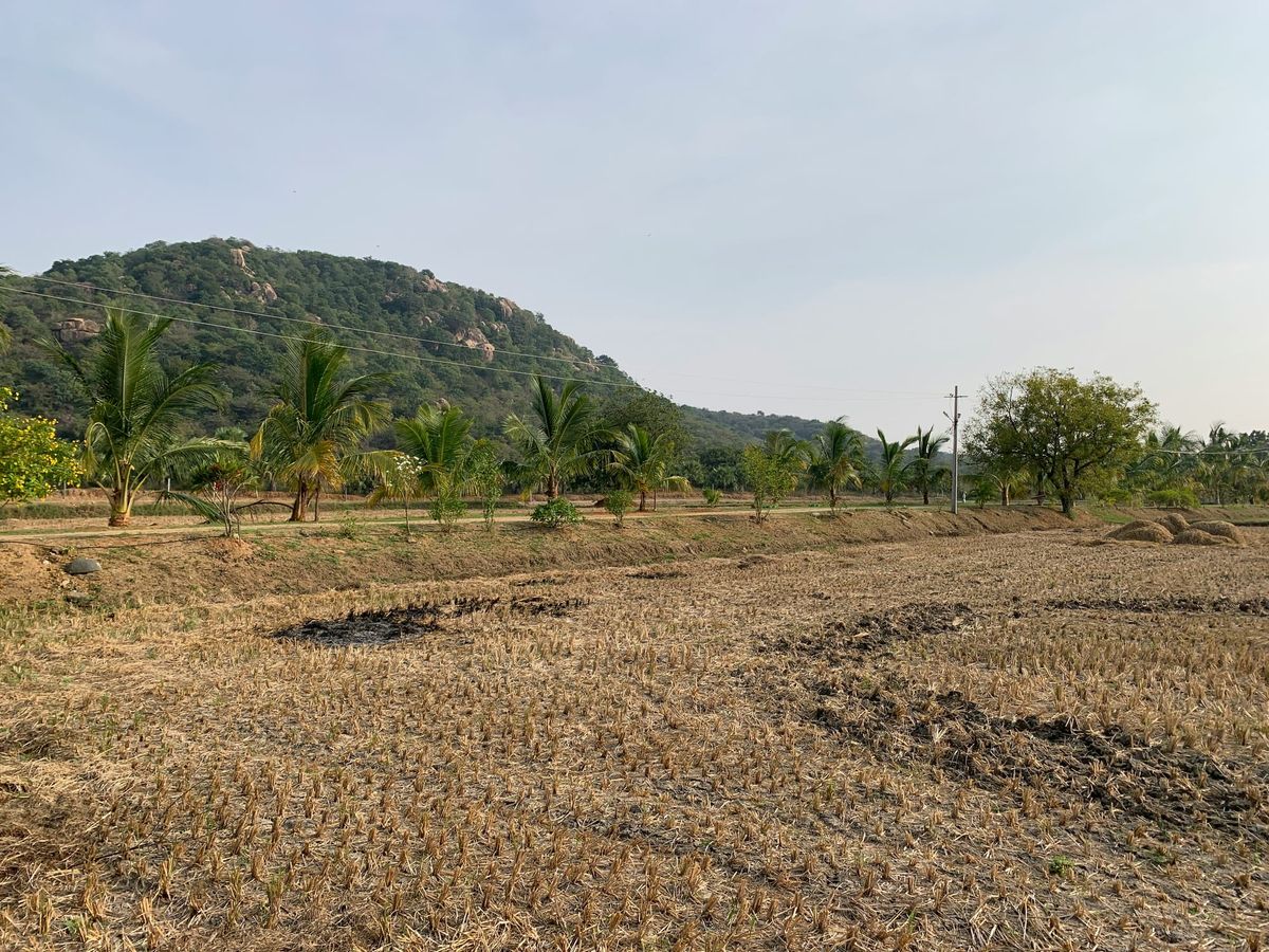 how to withdrawal PF for land purchase: eligibility and rules