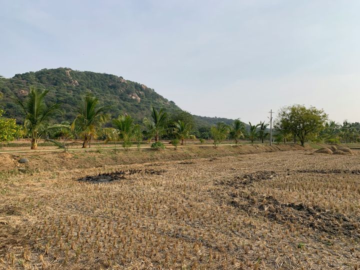 how to withdrawal PF for land purchase: eligibility and rules