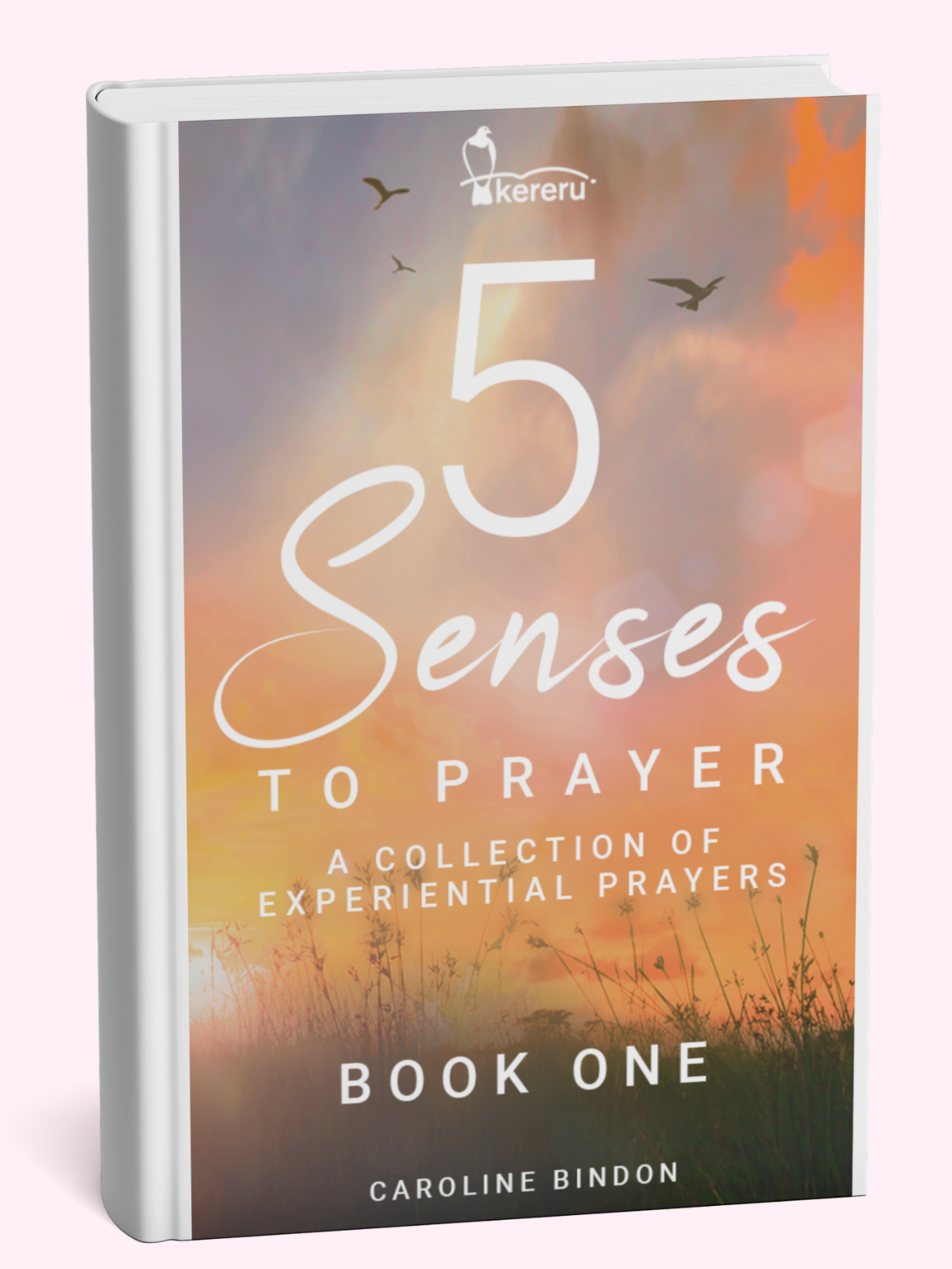 5 Senses to Prayer book cover