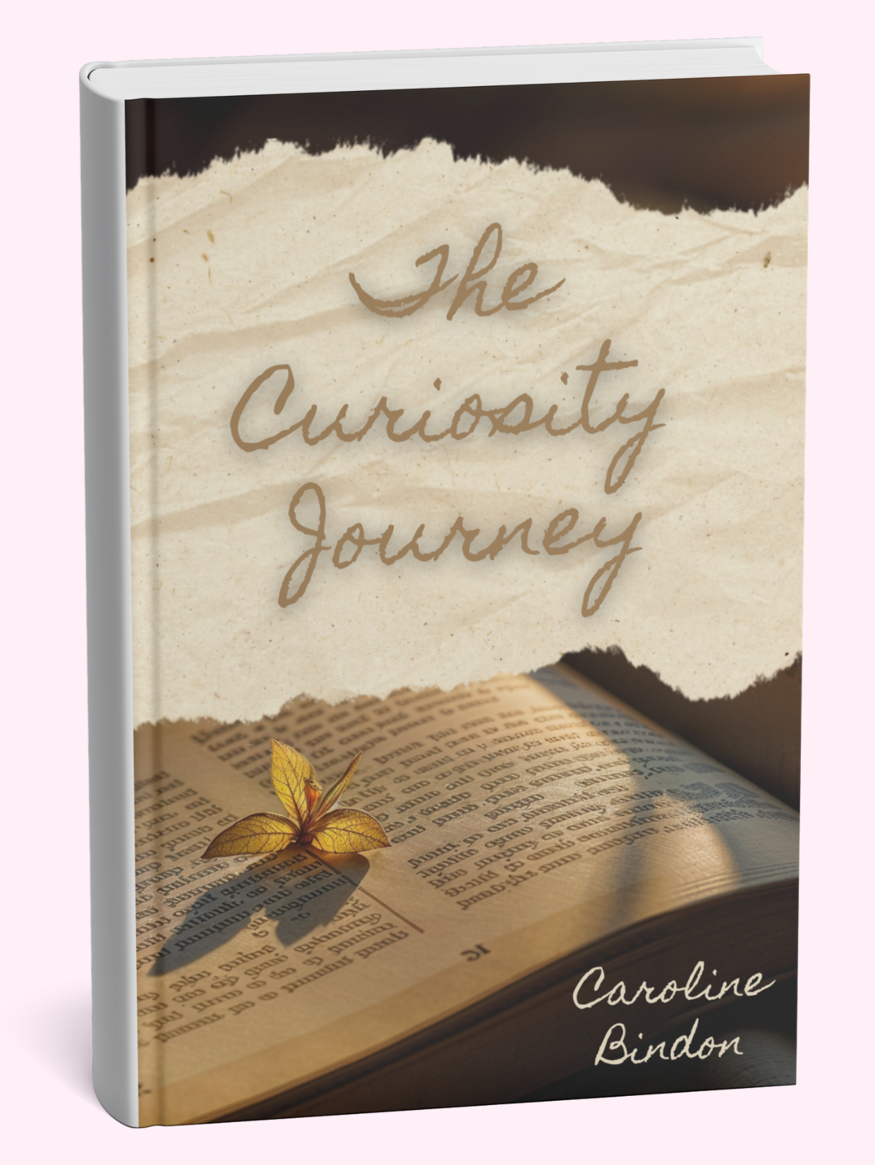 The Curiosity Journey book cover