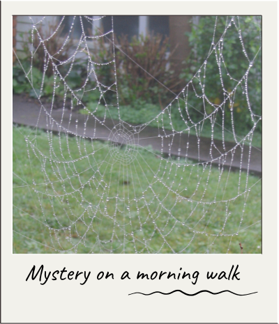 Inspiration 6