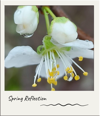Inspiration 7