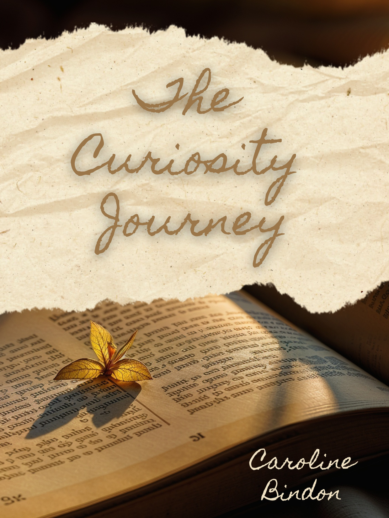 The Curiosity Journey cover