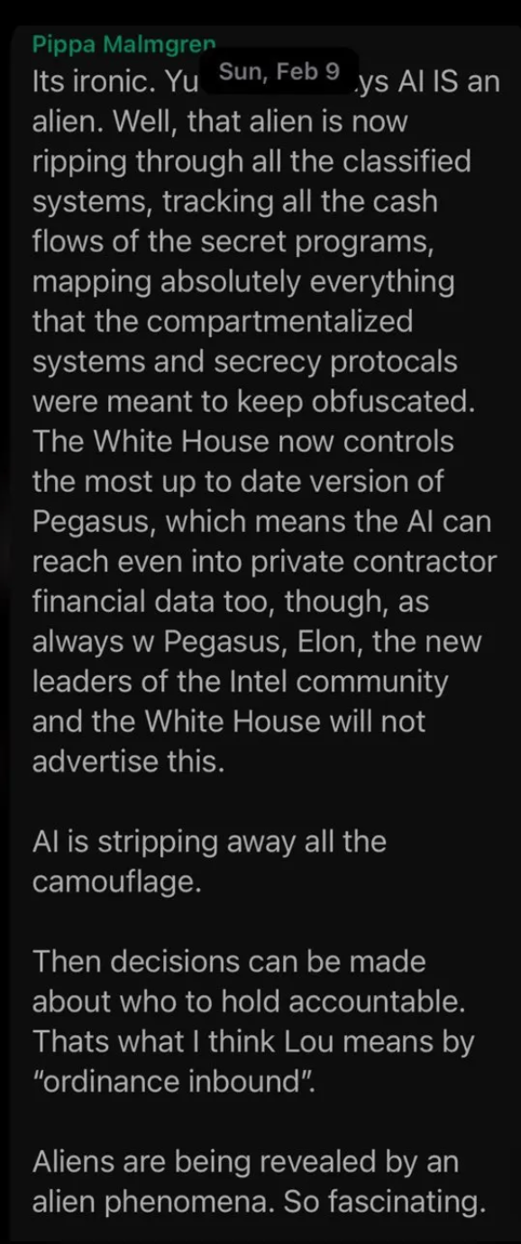 Screenshot of a leaked group-chat message from Dr. Pippa Malmgren dated February 9, 2025; its contents are described in the paragraphs below.