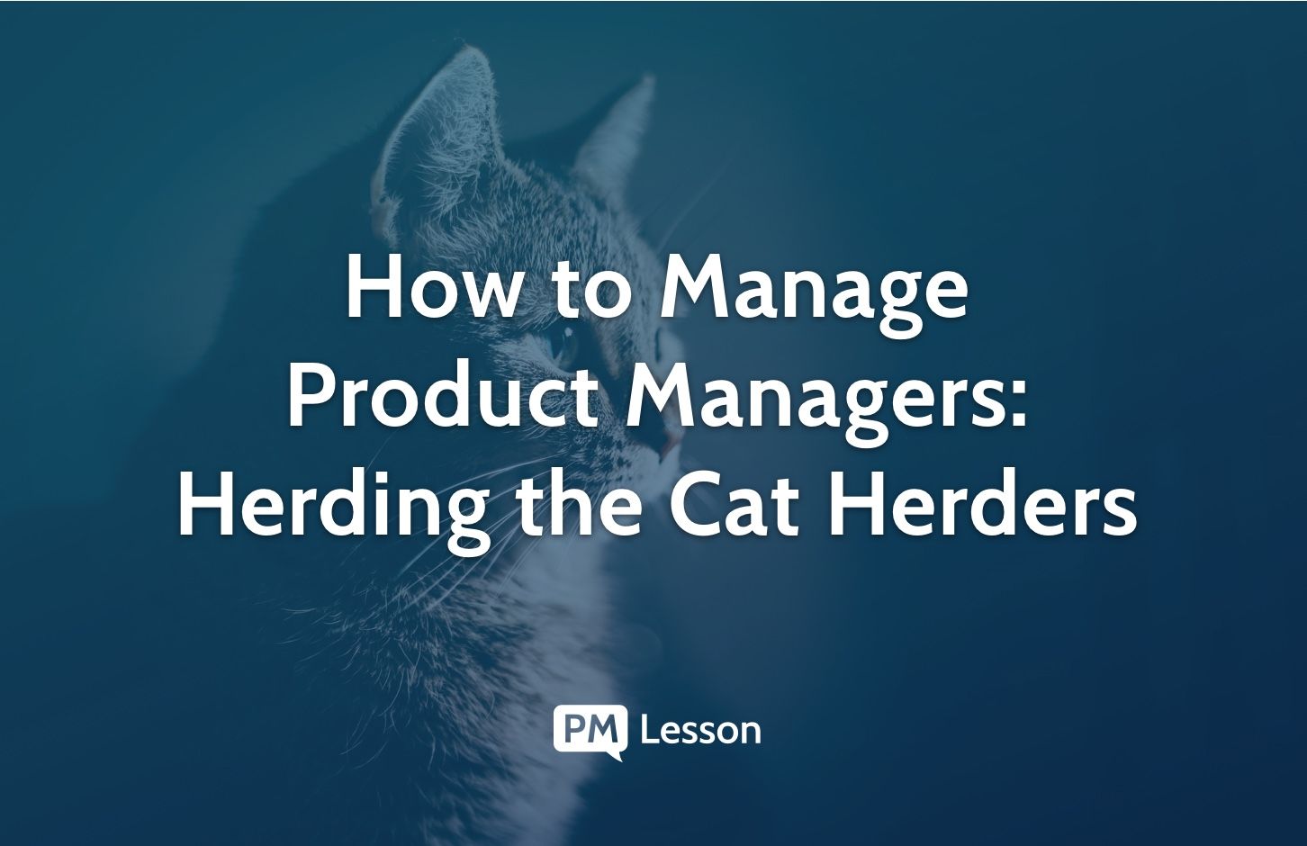How to Manage Product Managers: Herding The Cat Herders