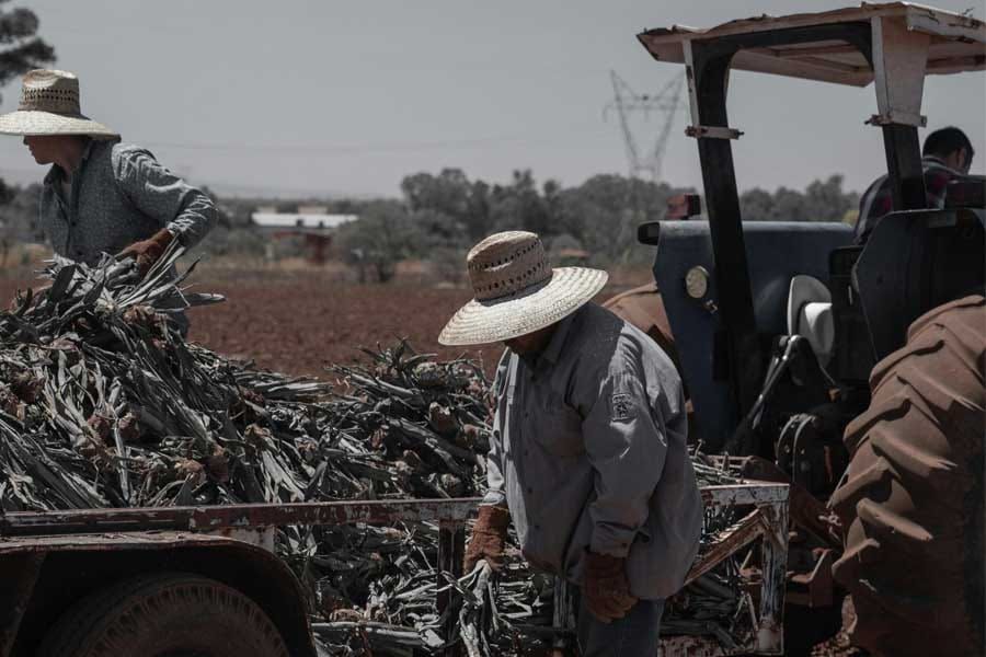 Agricultores manifestam-se contra o MERCOSUL em Estrasburgo