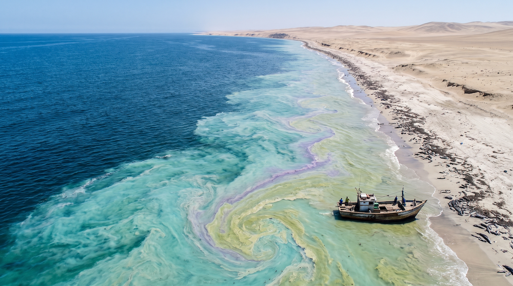 Why Parts of the Ocean Turn Purple and Smell of Eggs