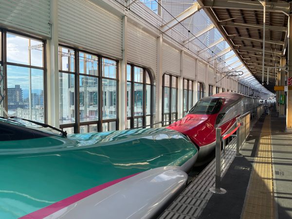 113-1階段任務(已完成)