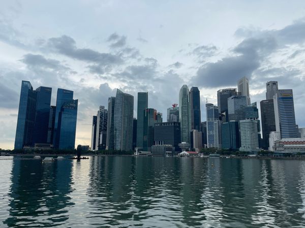 113-2階段任務（已完成）