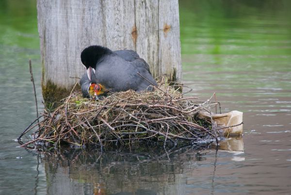N'attends pas pour vivre ta vie!