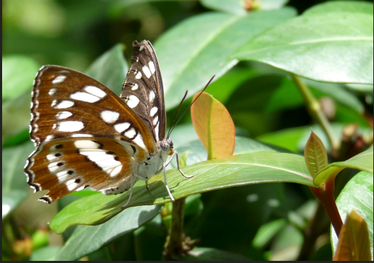 L'art au service du mieux-être