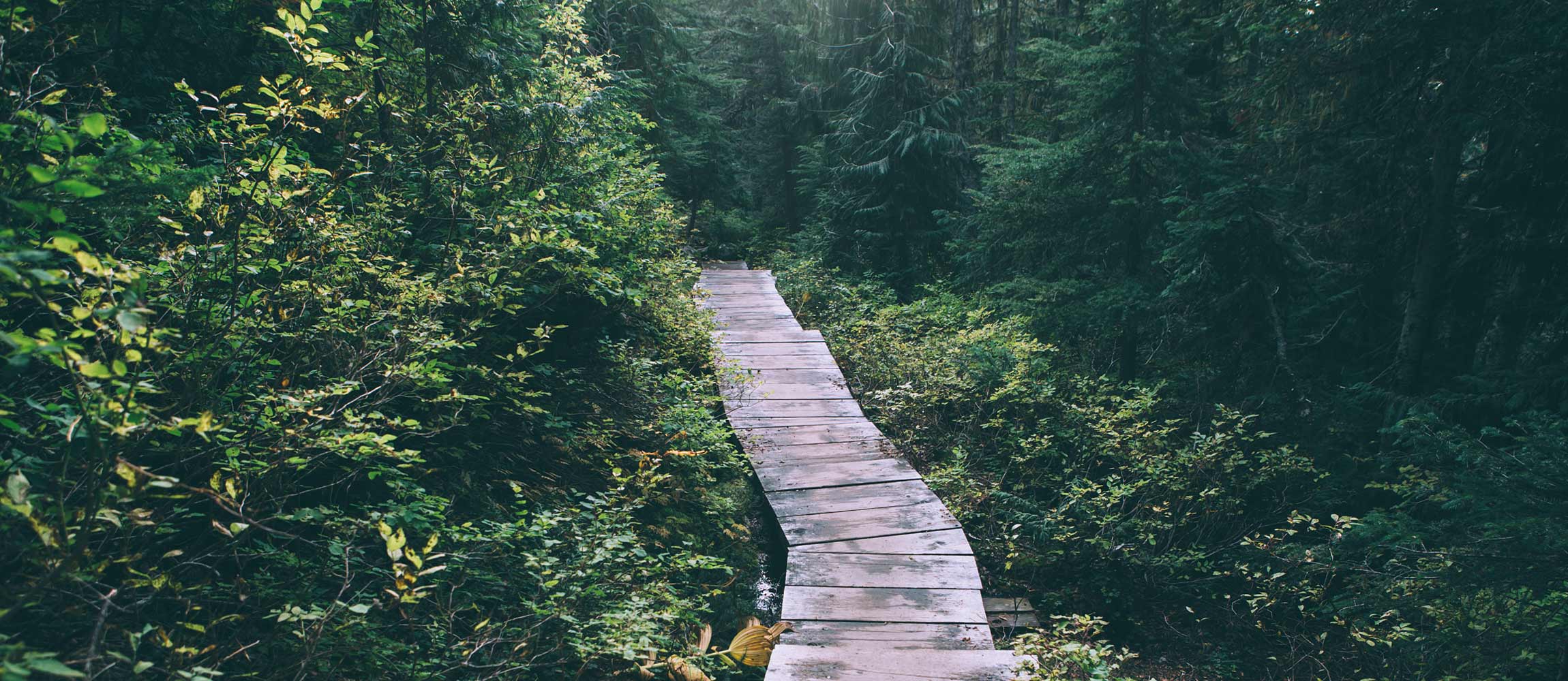 In search of value....