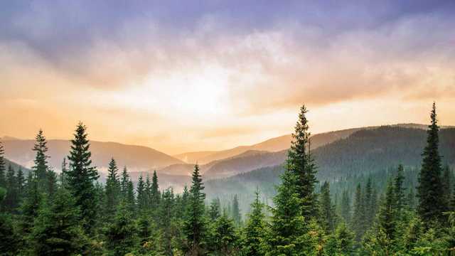 Climate Change at arborday.org