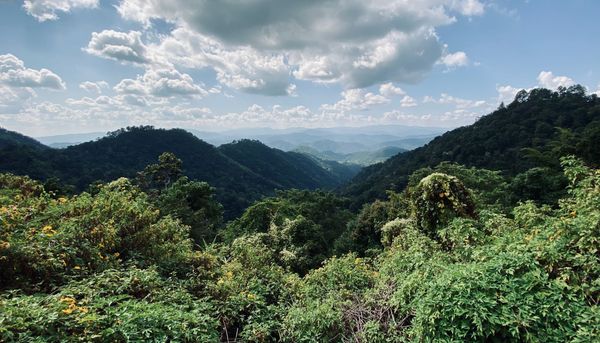 The bad advice that cost us $2million in revenue