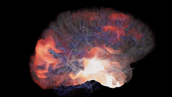 How Psychiatry Finally Found the Brain