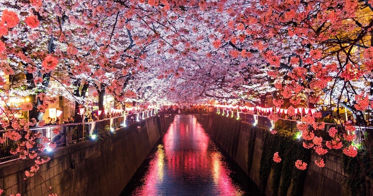 Why Japan Is One of the Best Amazon Markets for Cross-Border Sellers