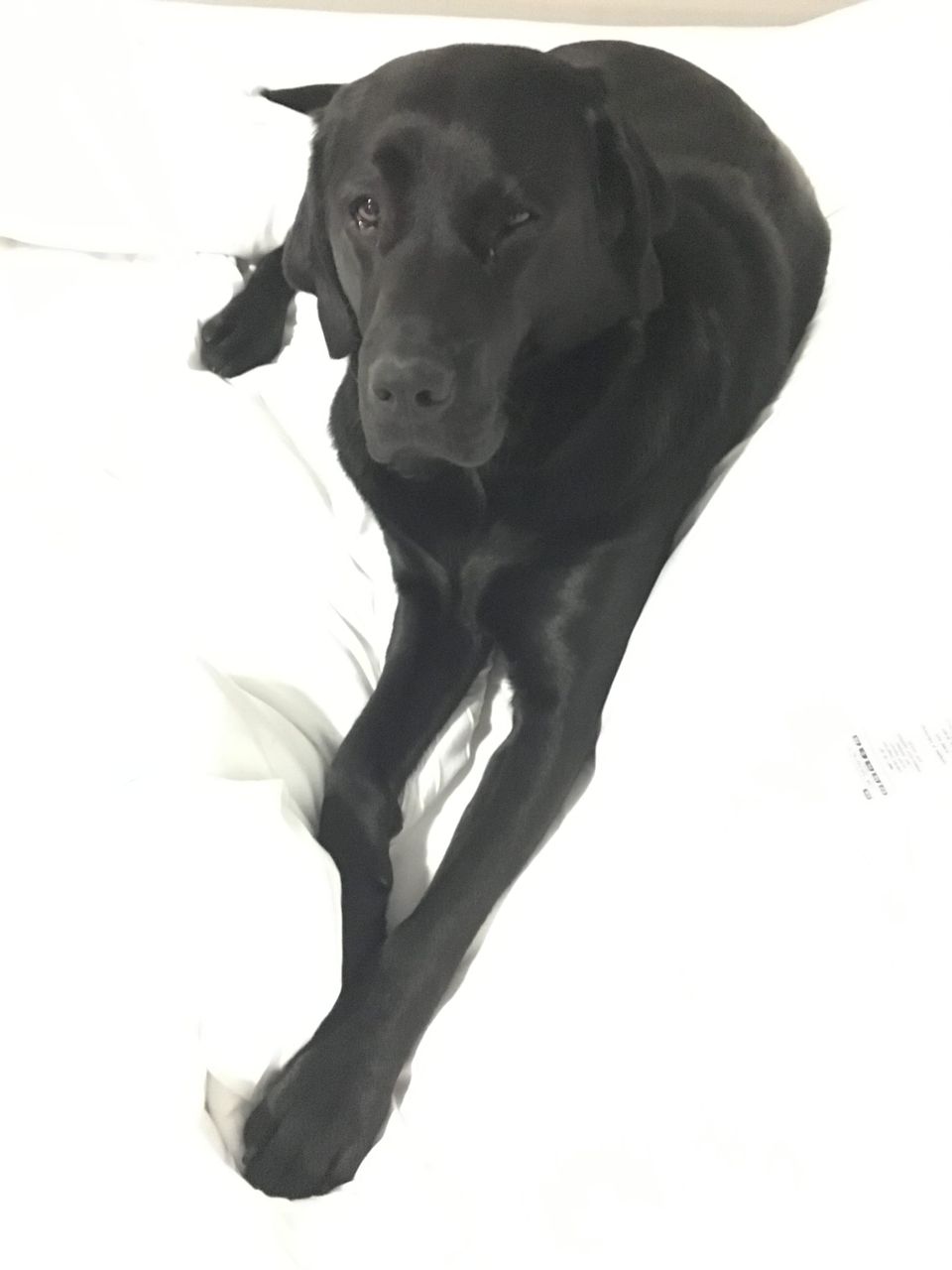 Sitting and movement